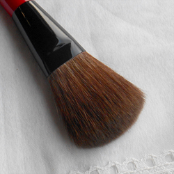 198. What is Red squirrel hair?