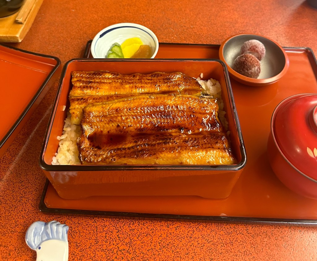 My unagi memory