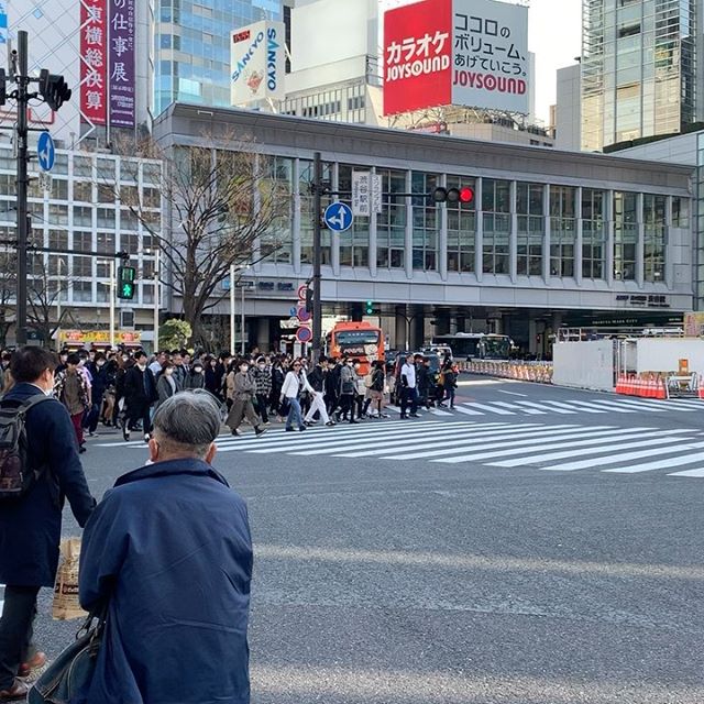 Coronavirus situation in Japan, feedback on synthetic hair&nbsp;brush